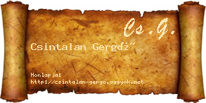 Csintalan Gergő névjegykártya